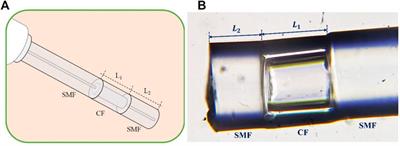 Ultra-Long Range Refractive Index Fiber Sensor